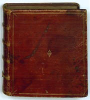 Goliath Fechtbuch