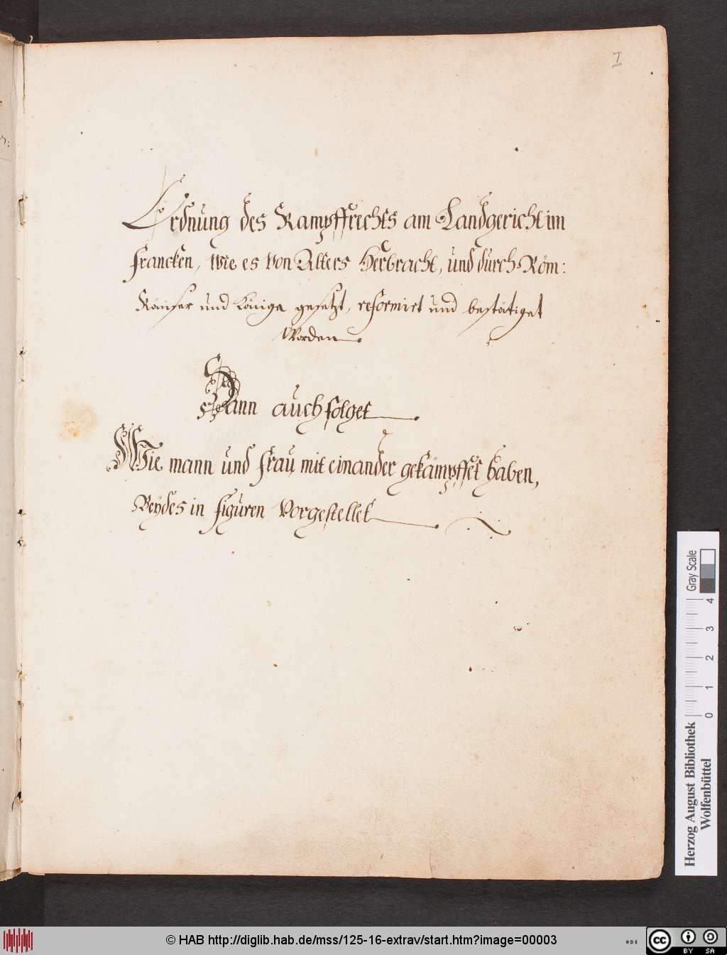 Talhoffer Fechtbuch (Cod.Guelf.125.16.Extrav.)