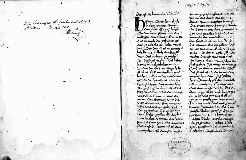 Martial section attributed to Hugo Wittenwiler (Cgm 558)